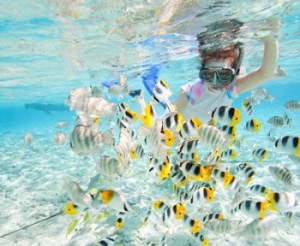 Woman snorkeling with fish